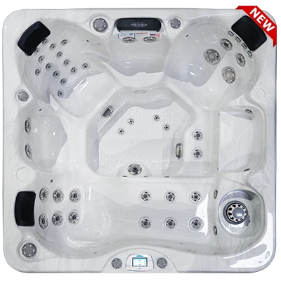 Avalon-X EC-849LX hot tubs for sale in Honolulu